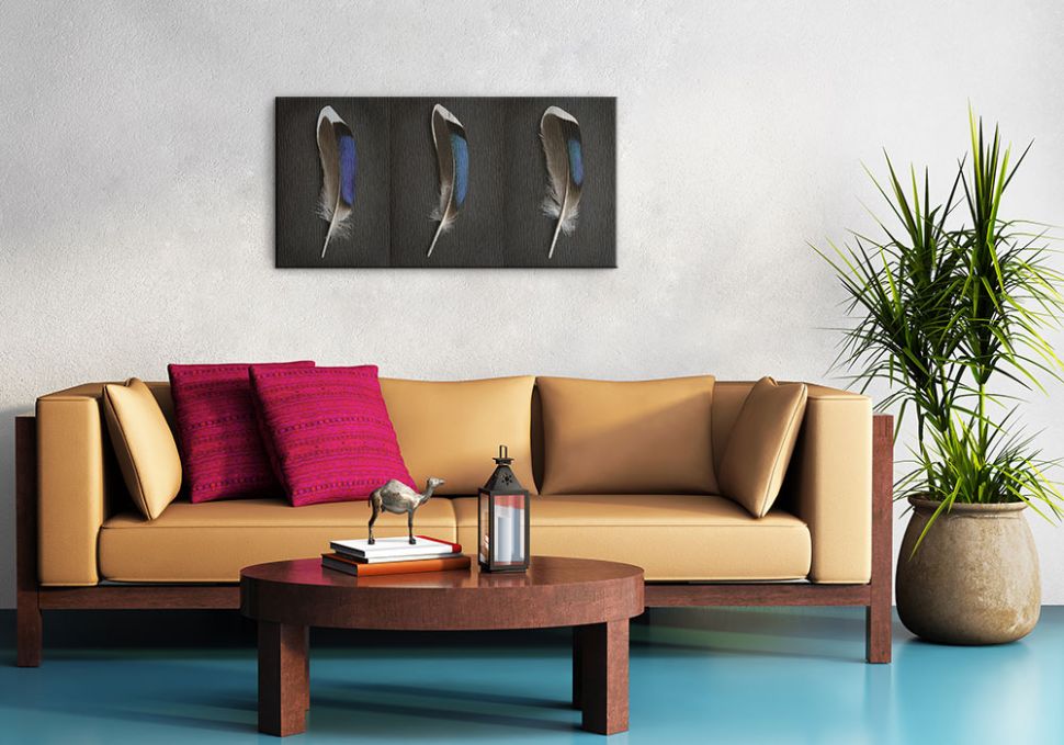 Obraz na płótnie wiszący w salonie nad kanapą przedstawiający ptasie pióra