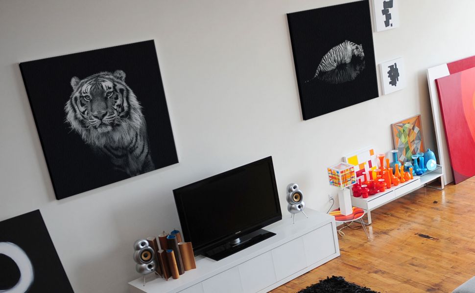 Czarno-białe obrazy na płótnie wiszące na białej ścianie w salonie przedstawiające Tygrysy