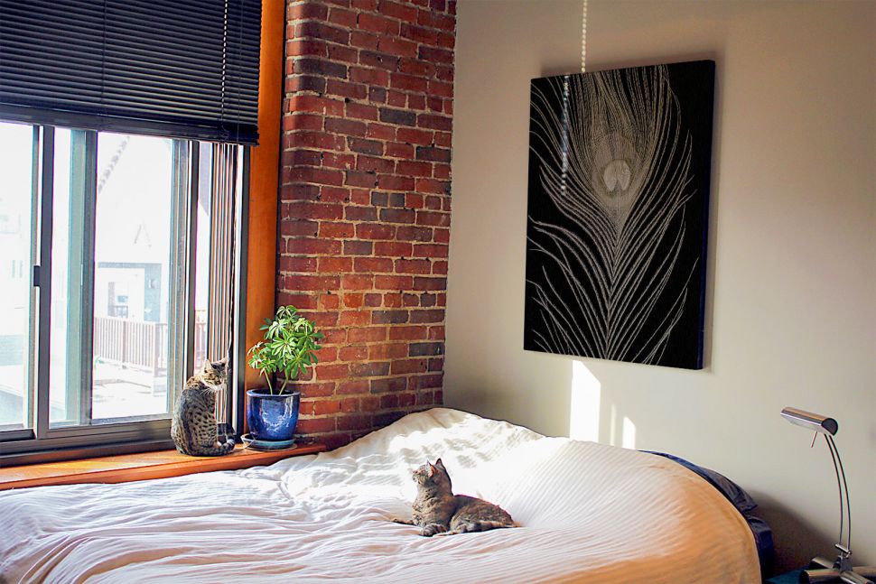 Obraz na płótnie wiszący w sypialni nad łóżkiem przedstawiający białe pawie pióro
