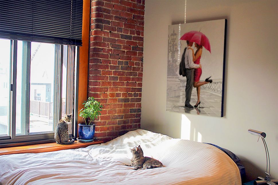 Obraz na płótnie Cupid's Lantern wiszący w sypialni nad łóżkiem na którym leży kot
