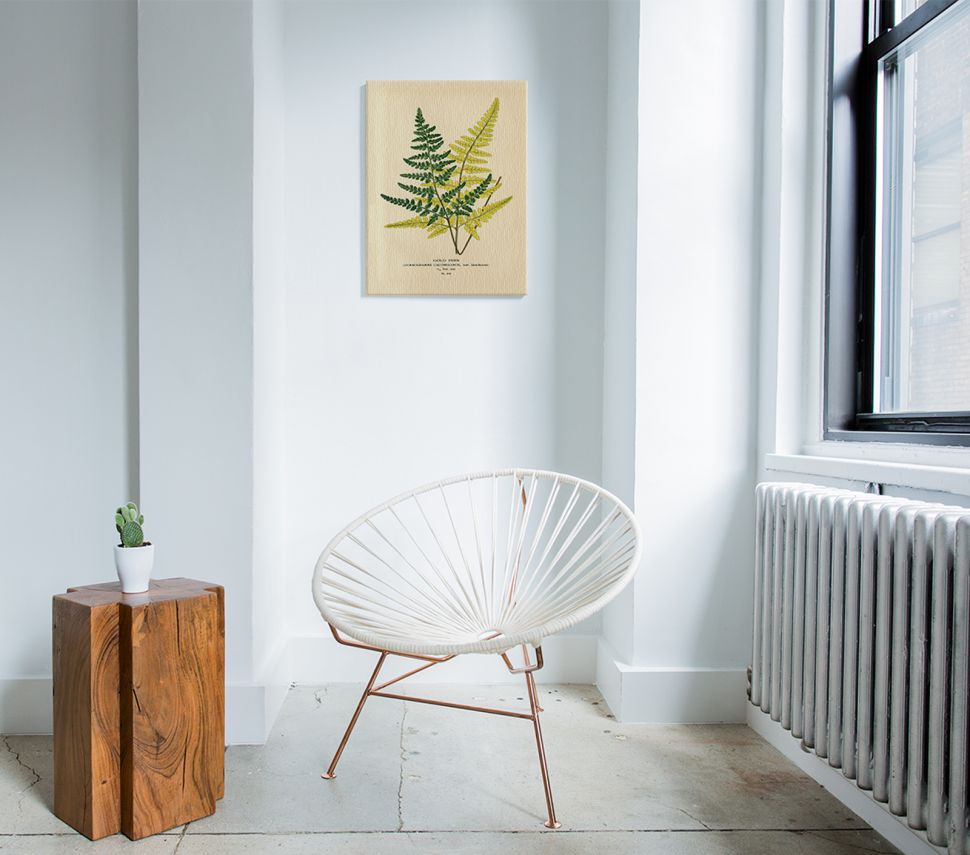 Canvas Gold Fern z liśćmi paproci wiszący na białej ścianie nad nowoczesnym fotelem