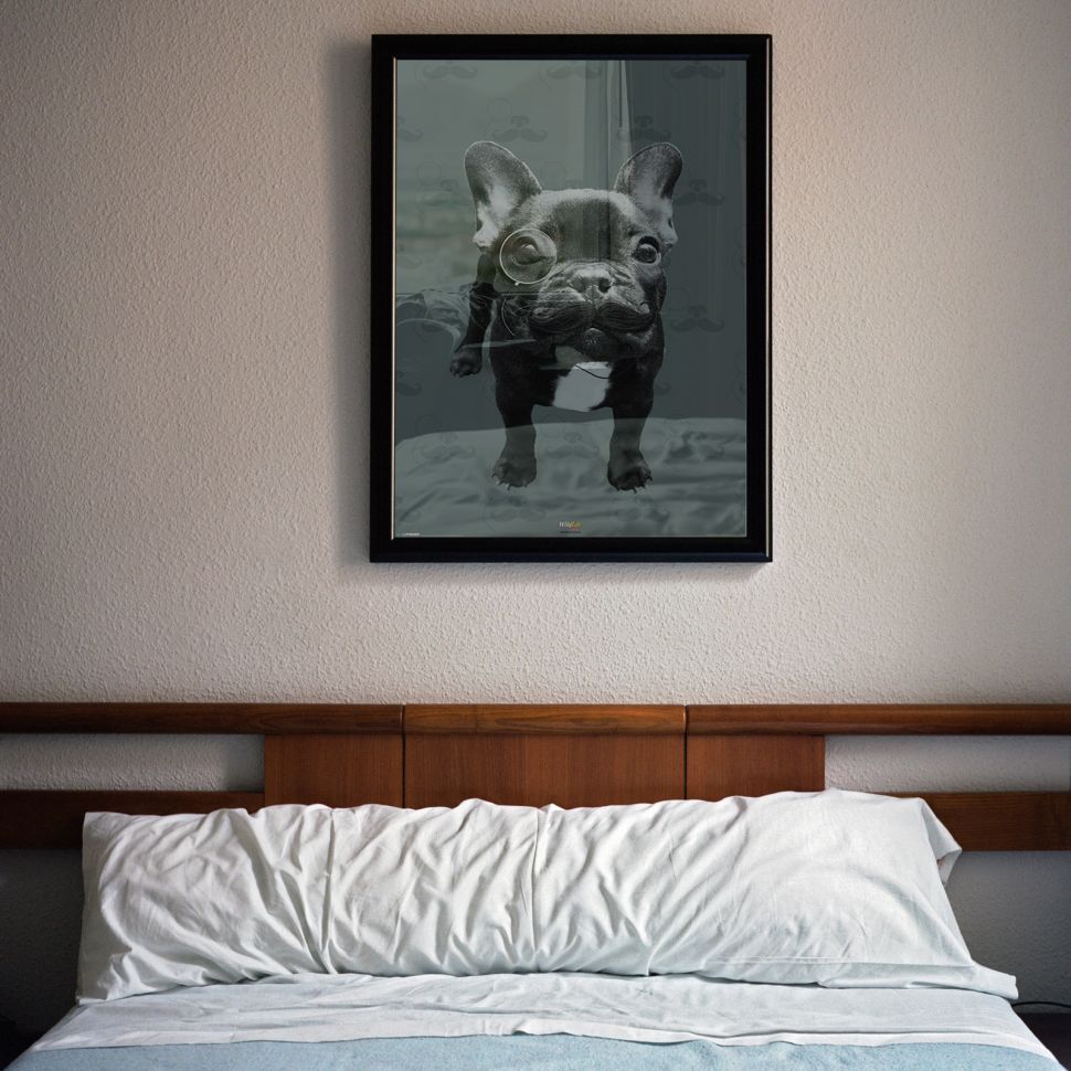 Plakat z Buldogiem francuskim wiszący w sypialni nad drewnianym łóżkiem