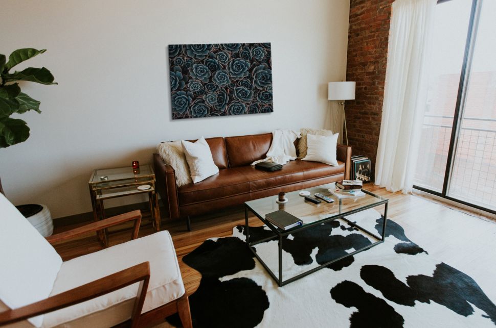 Obraz na płótnie Kaktusy wiszący w stylowym salonie nad skórzaną, brązową kanapą