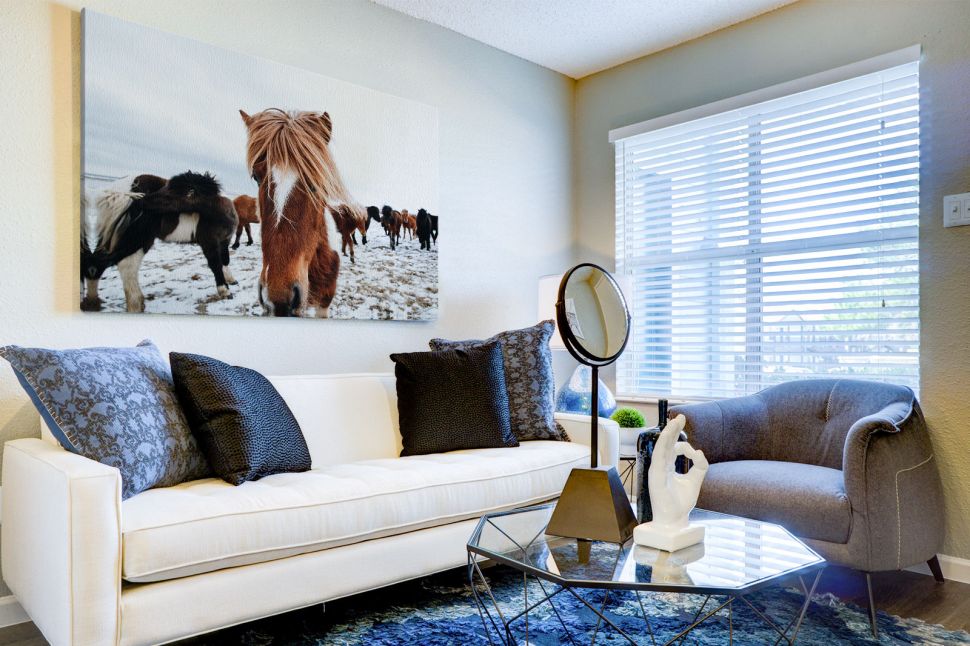 Obraz na płótnie Icelandic Horse wiszący w salonie nad białą kanapą z dużymi poduchami