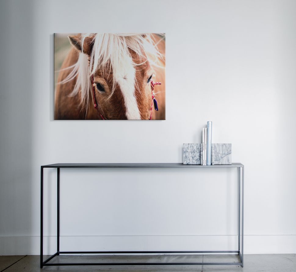 Obraz na płótnie Switzerland horse wiszący na białej ścianie nad czarnym stolikiem