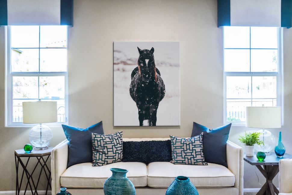 Obraz na płótnie przedstawiający czarnego konia, zatytułowany Llyn Brenig, United Kingdom wiszący w salonie nad białą kanapą z niebieskimi poduszkami