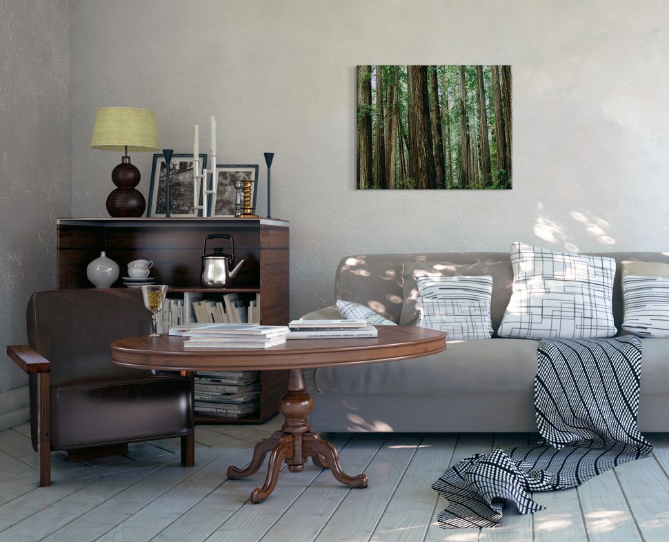Obraz na płótnie Crescent Woods wiszący w salonie nad szarą kanapą