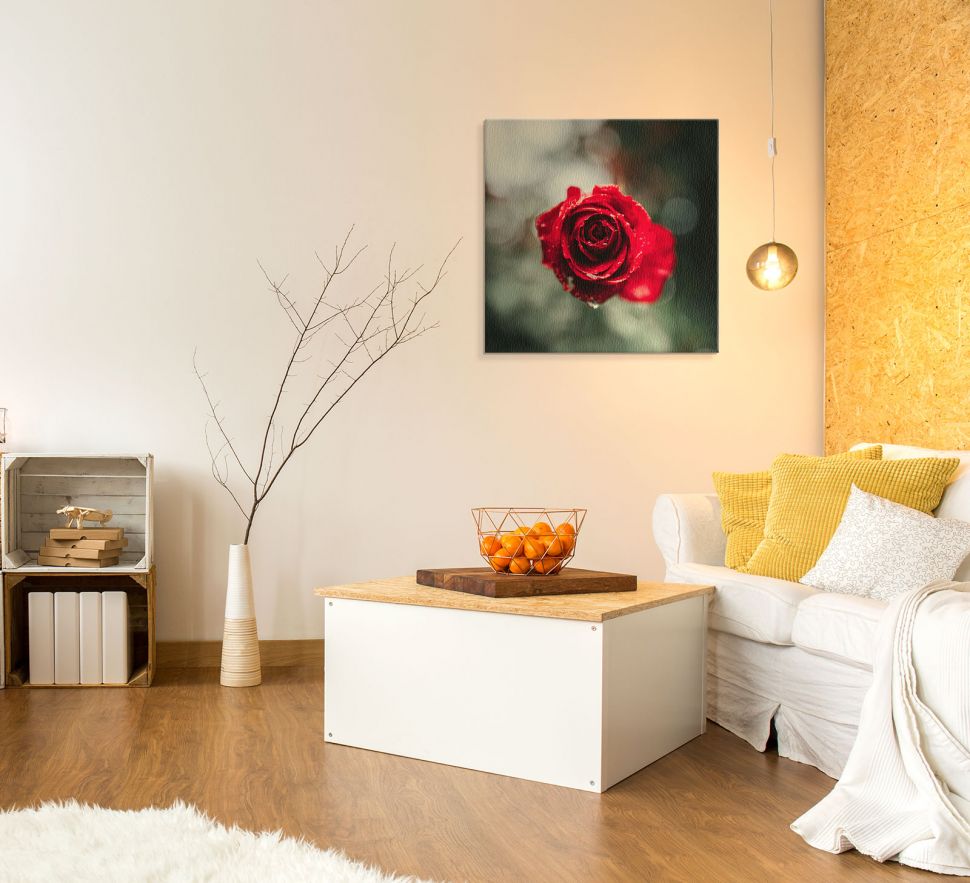 Obraz na płótnie International Rose Test Garden wiszący w salonie na białej ścianie nad szafką