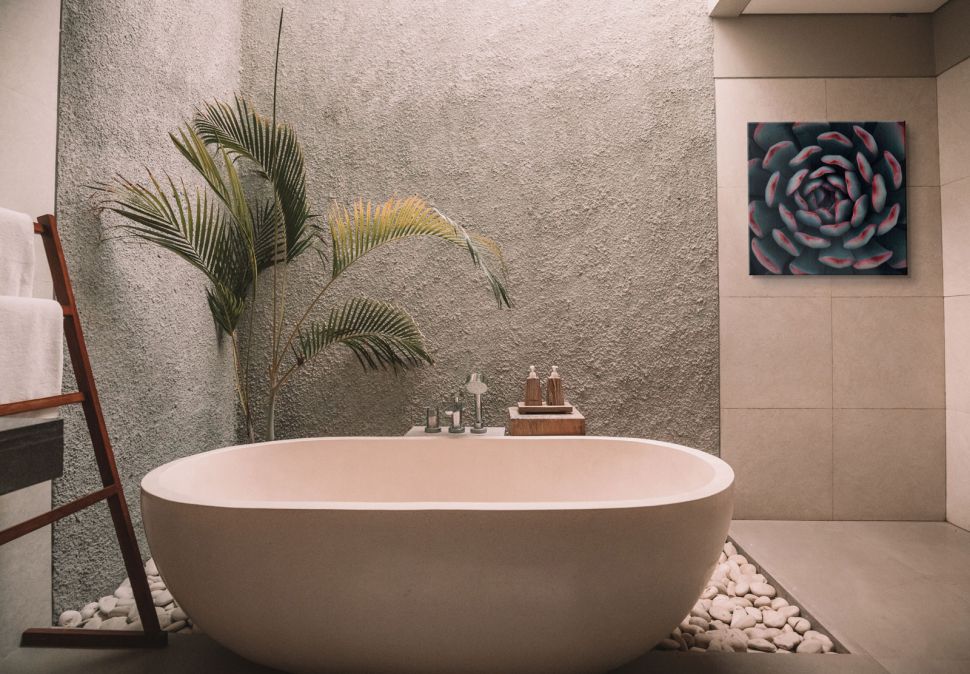 Obraz na płótnie Israeli cactus wiszący na ścianie w łazience