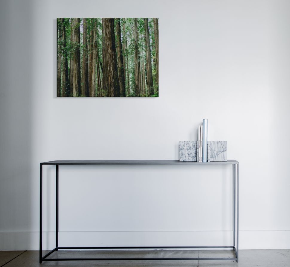 Obraz na płótnie Crescent Woods przedstawiający las wiszący na białej ścianie nad stolikiem