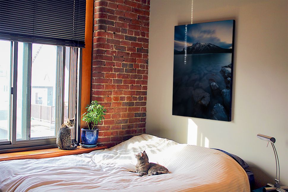 Obraz na płótnie Lake Minnewanka, Canada wiszący w sypialni nad łóżkiem z kotami