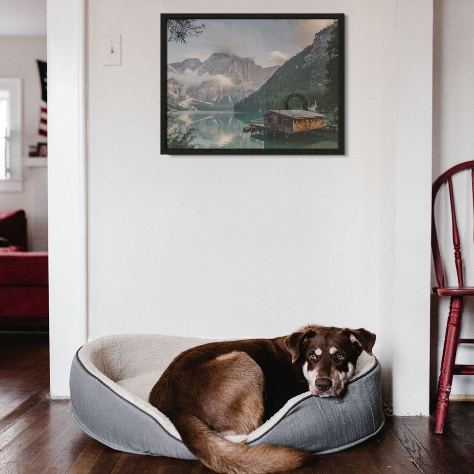 Czarna rama drewniana ze zdjęciem górskiego domku powieszona nad łóżkiem psa