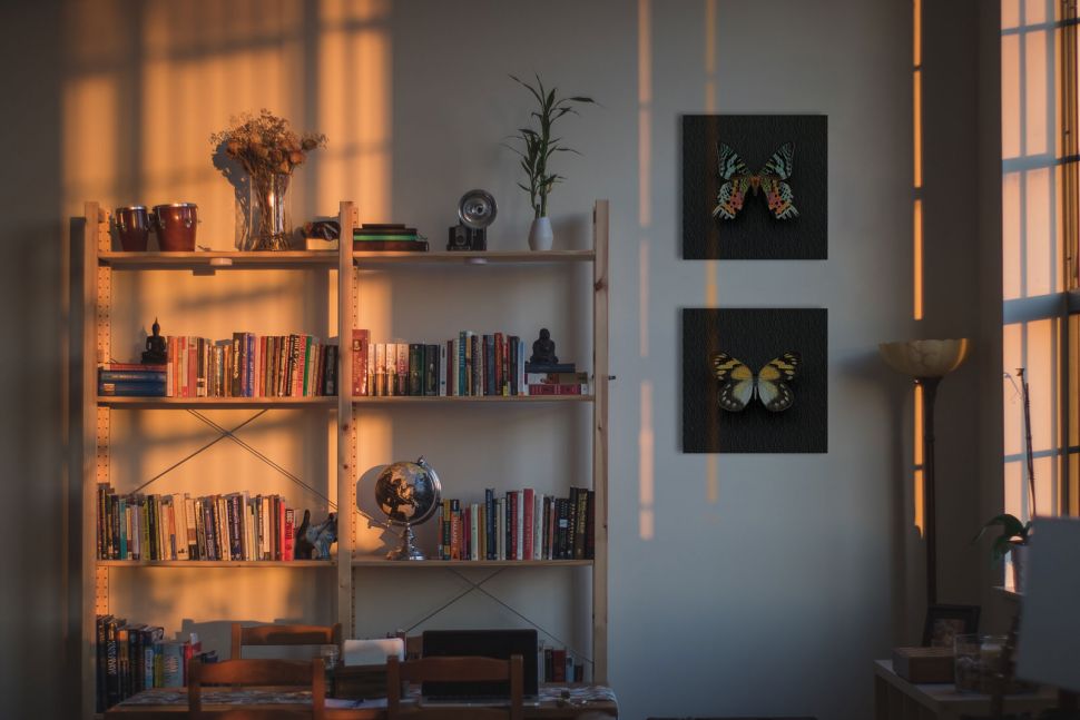 Canvasy z kolorowymi motylami na czarnym tle powieszone na ścianie obok szafki na książki