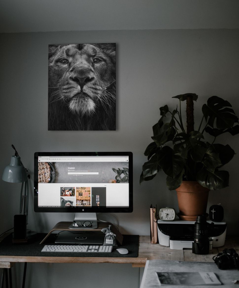 Biało-czarny Canvas z lwem powieszony w modernistycznie umeblowanym biurze nad biurkiem