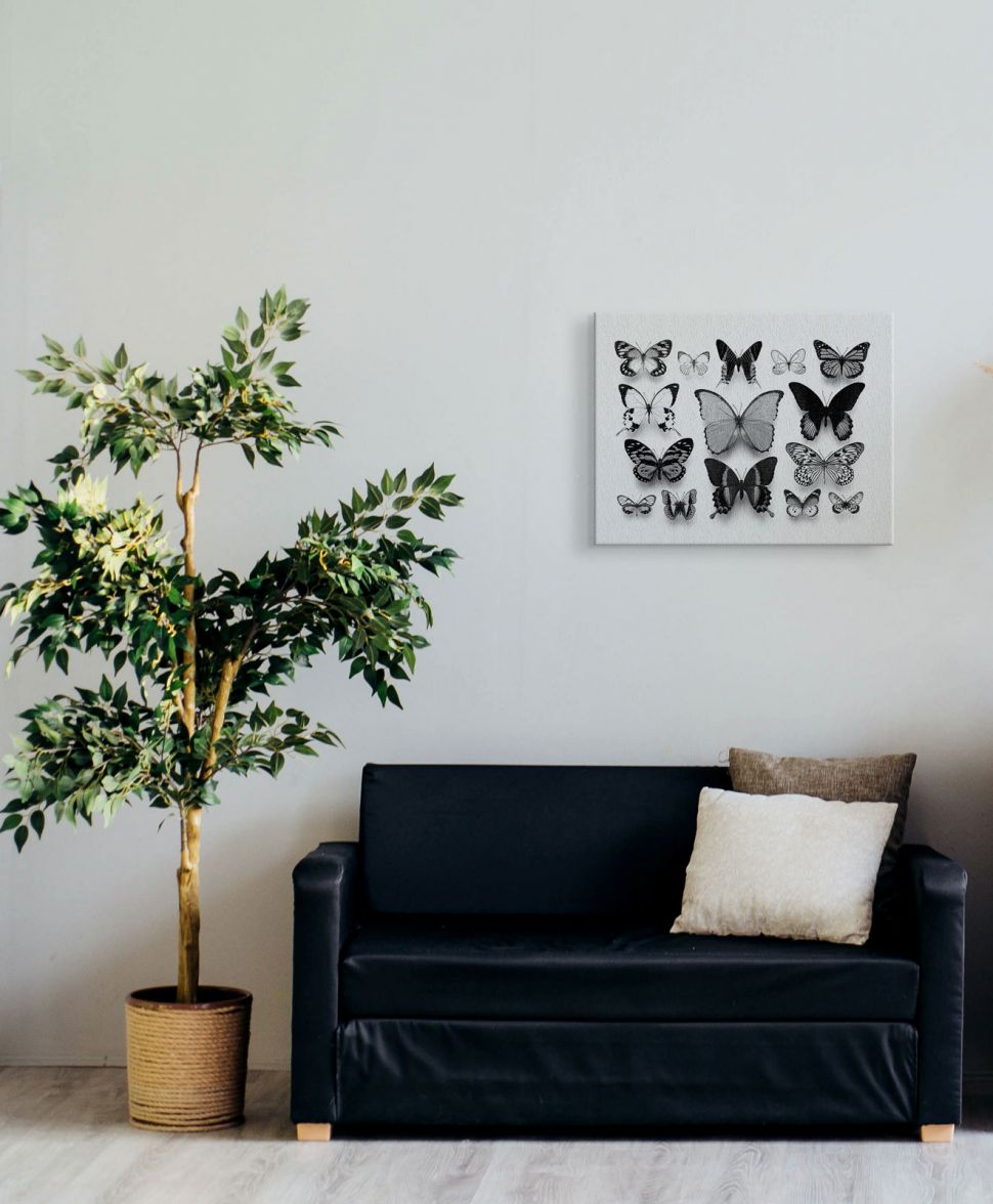 Obraz na płótnie z kolekcją czarno-białych motyli powieszony nad czarną sofą