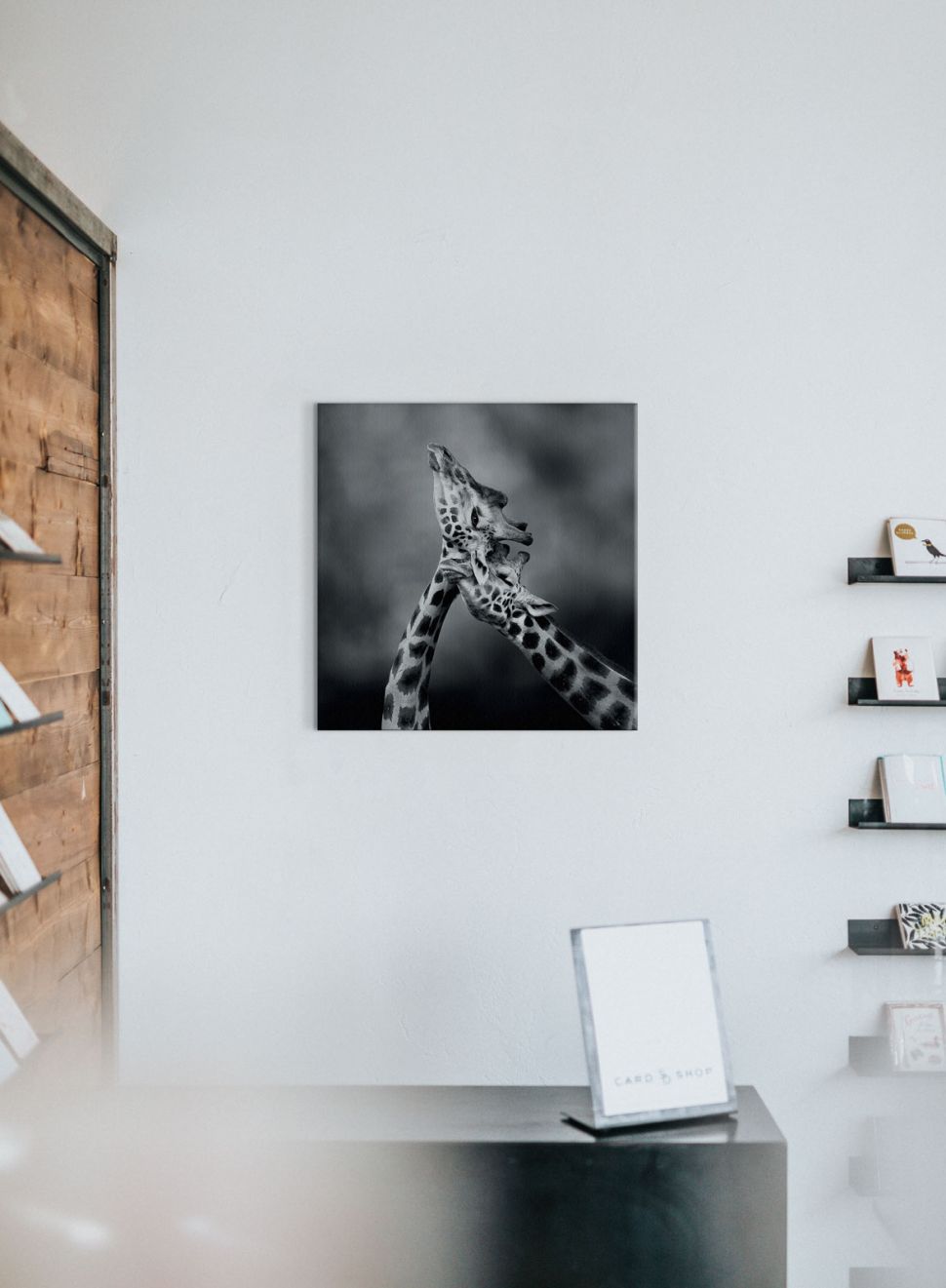 Obraz na płótnie wiszący na białej ścianie nad czarnym biurkiem przedstawiający dwie żyrafy