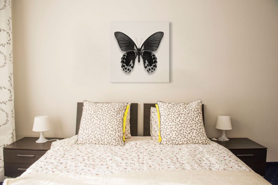 Obraz na płótnie z czarnym motylem powieszony w salonie nad łóżkiem
