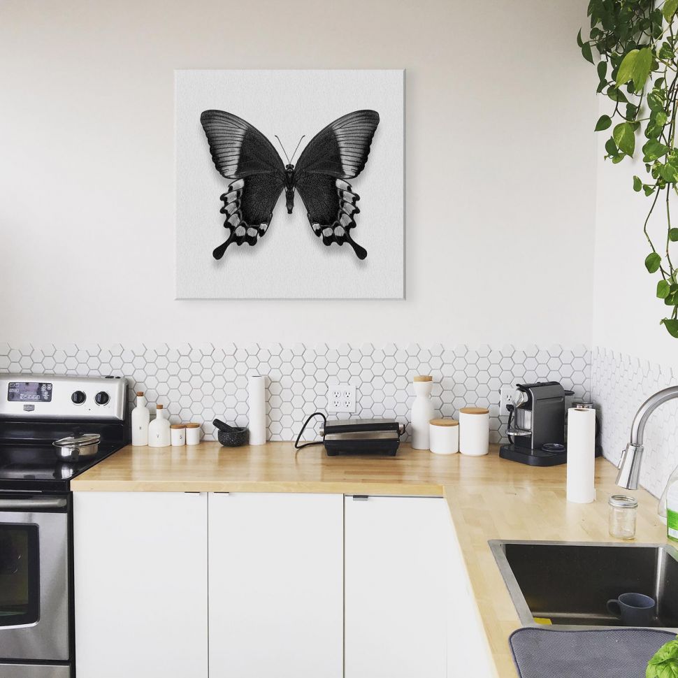 Obraz na płótnie z czarnym motylem na białym tle powieszony w kuchni