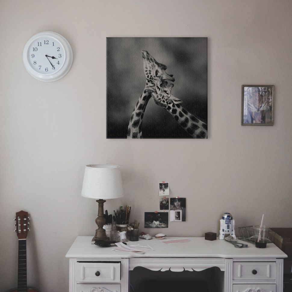 Czarno biały obraz na płótnie przedstawiający dwie żyrafy wiszący w pokoju nad białym biurkiem
