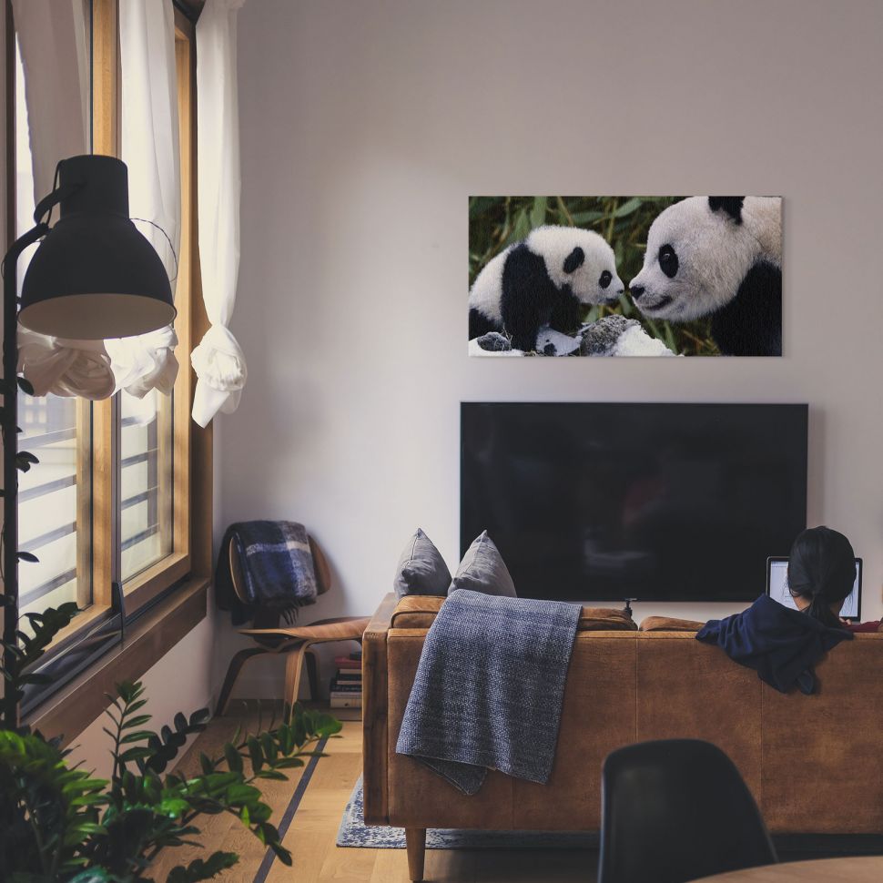 Obraz na płótnie na którym widoczne są dwie pandy powieszony w salonie nad telewizorem