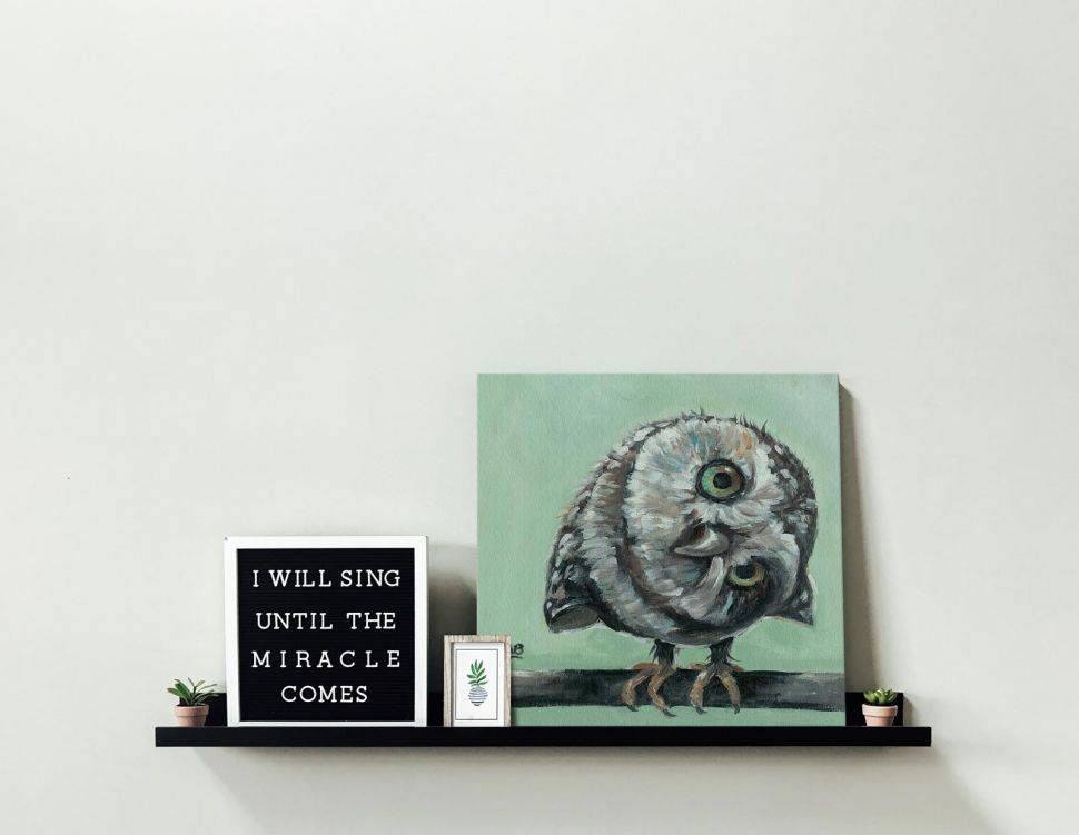 Obraz na płótnie z małą sową autorstwa Louise Brown postawiony na półce oparty o ścianę