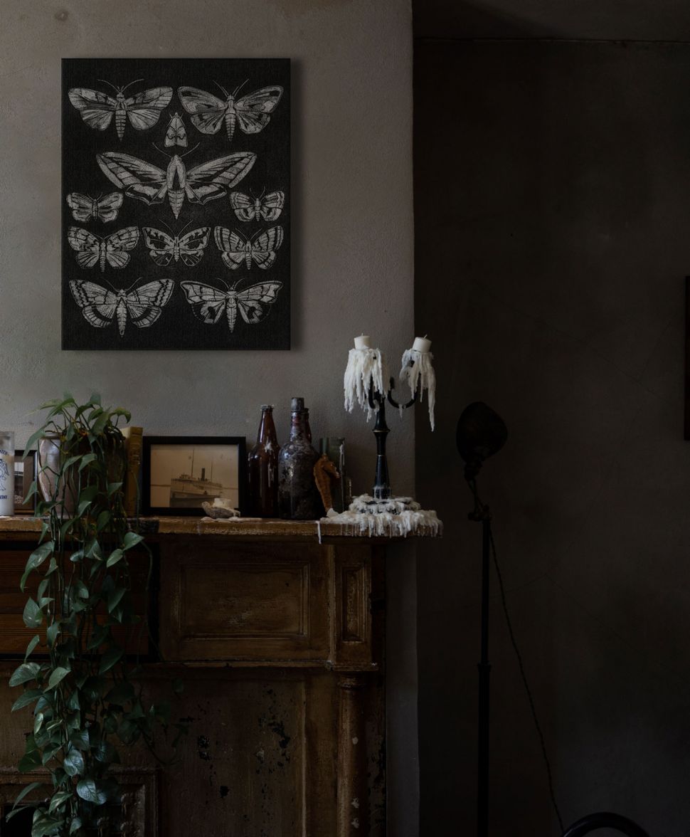 Obraz przedstawiający motyle i ćmy na czarnym tle powieszony nad starym kredensem w pokoju