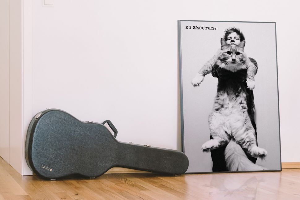 Plakat Ed'a Sheeran'a oprawiony w srebrną ramkę aluminiową leżącą na podłodze obok pokrowca na gitarę