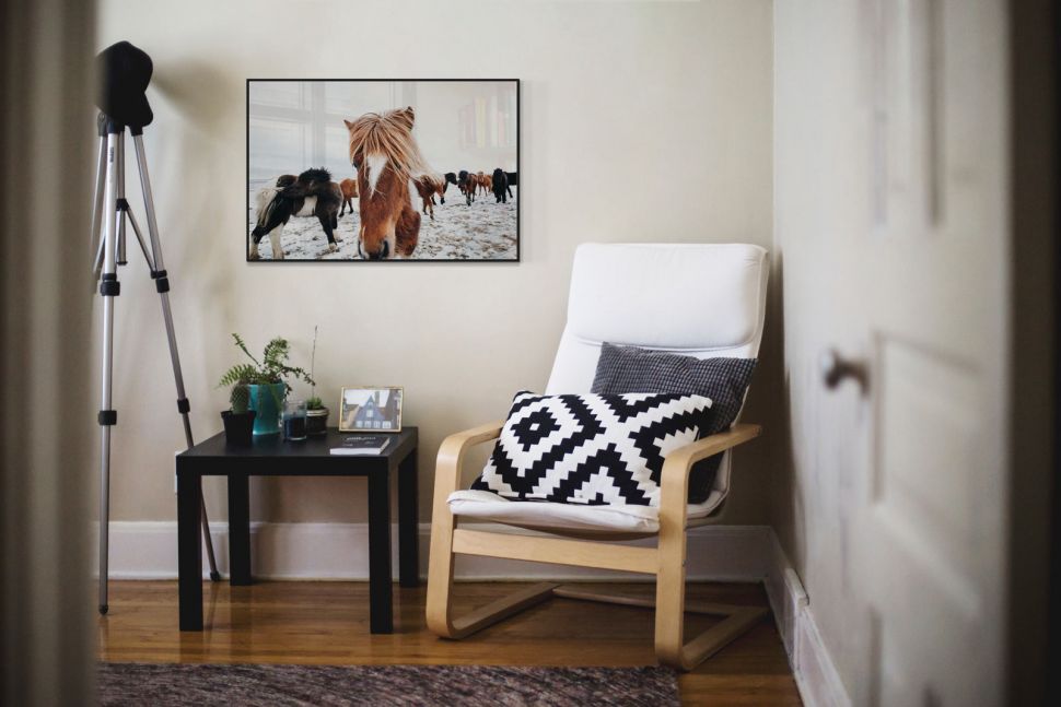 Poster Icelandic Horse w czarnej ramie powieszony w pokoju nad stolikiem