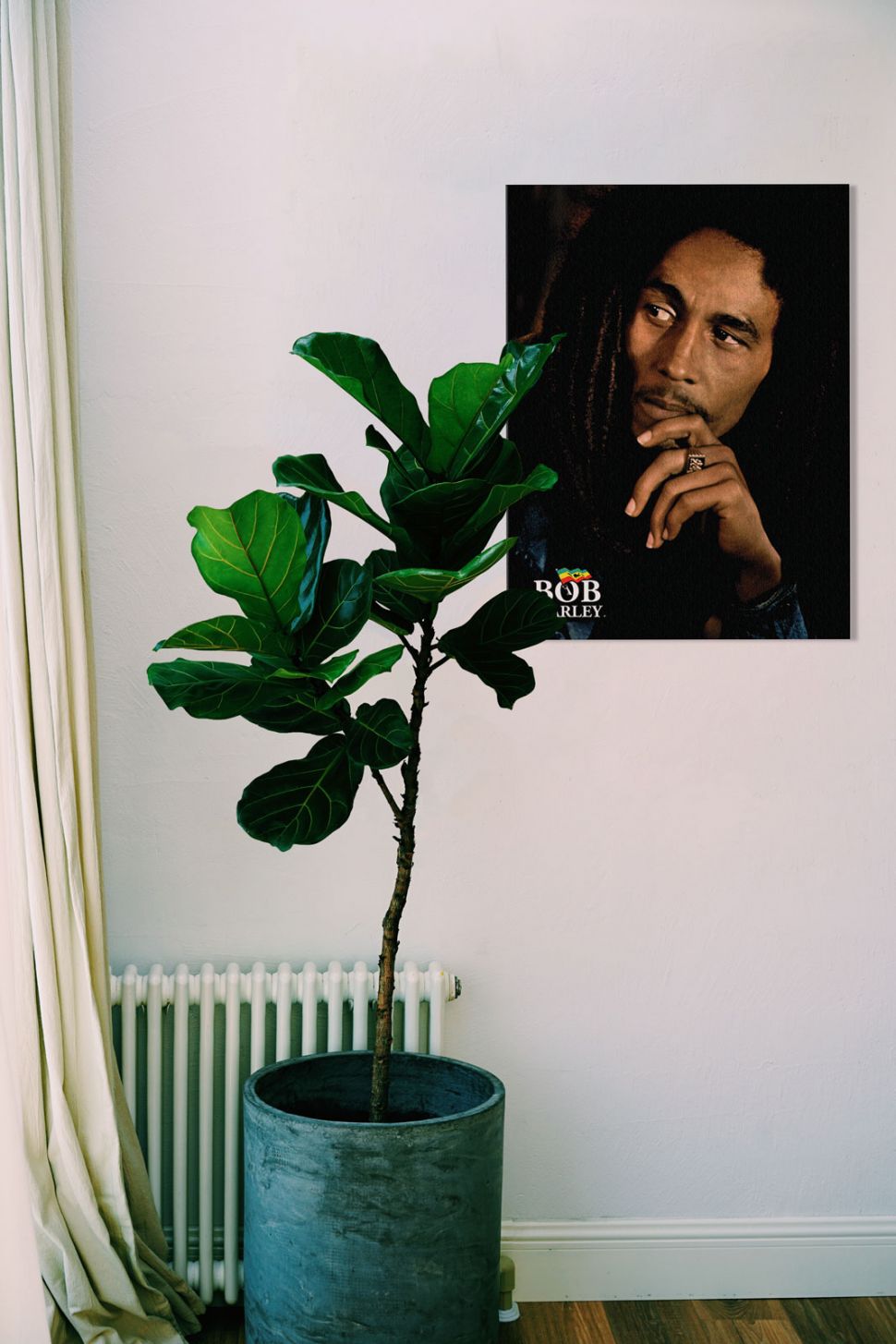 Obraz z albumu Legend Boba Marley'a powieszony w pokoju obok liściastego kwiatka w niebieskiej doniczce