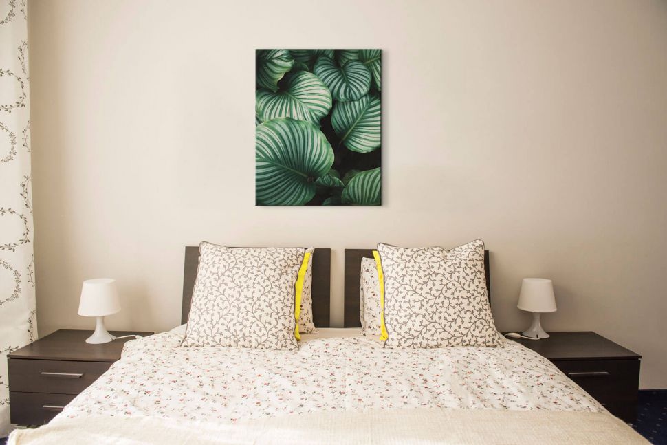 Botaniczny obraz na płótnie Liście Kalatea Okrągłolistna powieszony nad łóżkiem
