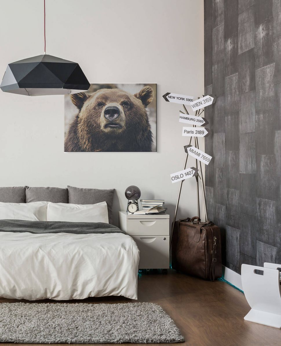 Obraz na płótnie przedstawiający niedźwiedzia brunatnego