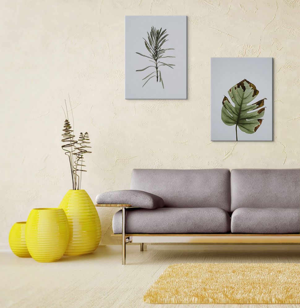 Obrazy botaniczne z liśćmi powieszone w nad kanapą w salonie