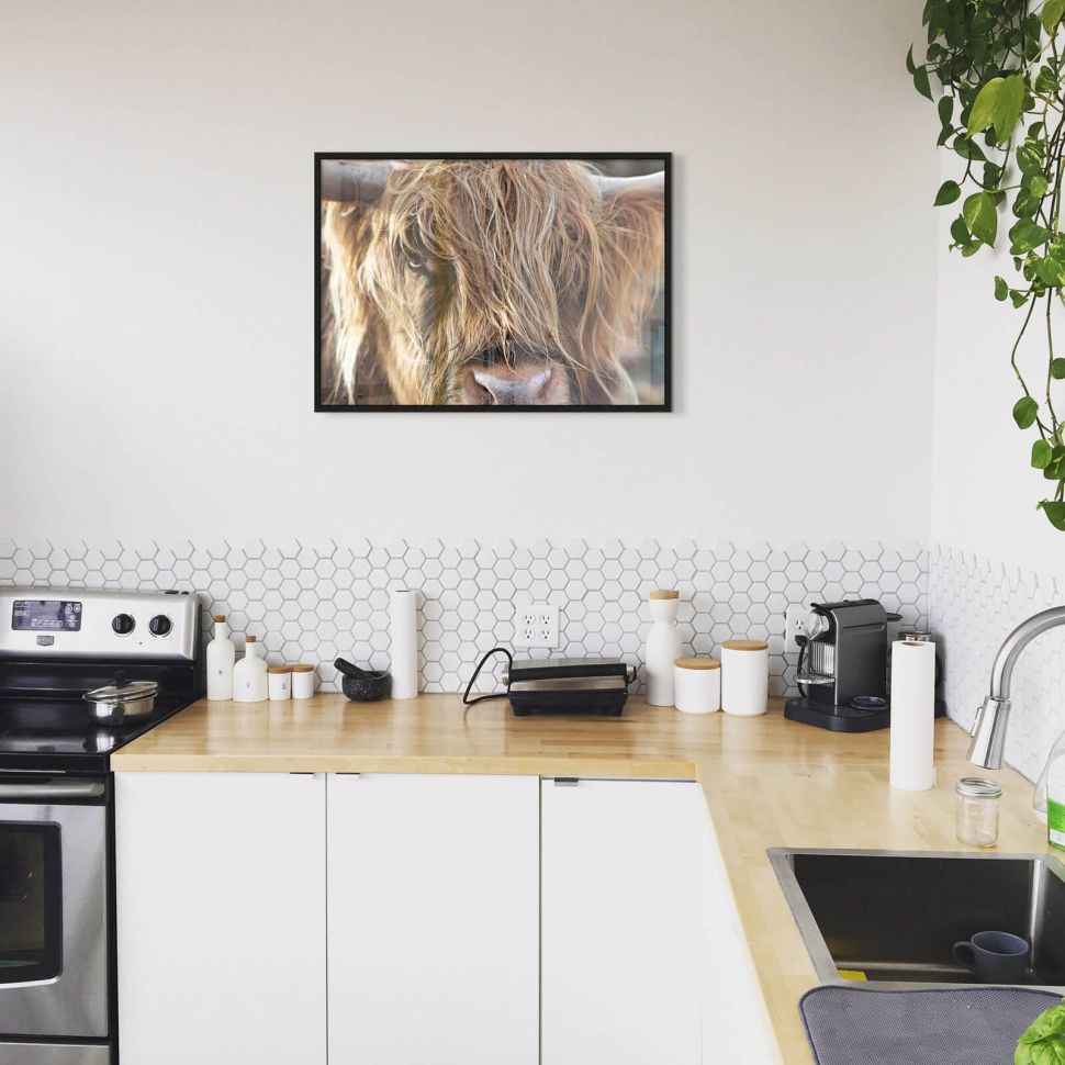 Poster przedstawiający górską krowę powieszony w kuchni