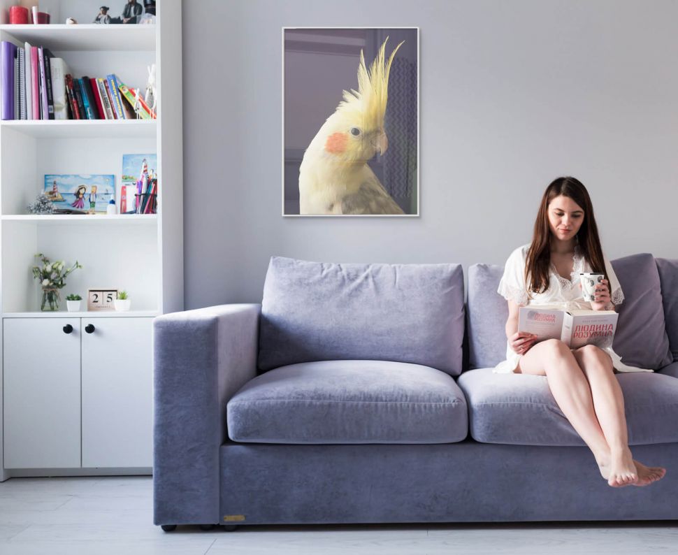 Żółta papużka na plakacie powieszonym w salonie nad sofą