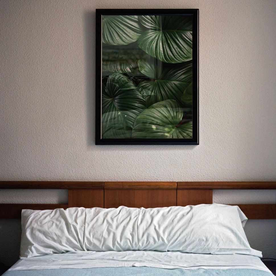 Plakat z liśćmi monstery w czarnej ramie nad łóżkiem
