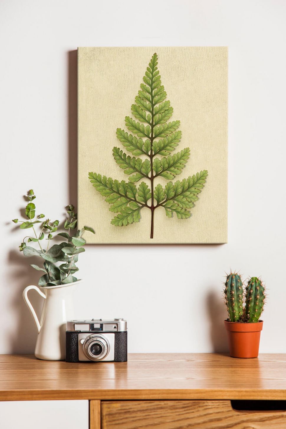 Obraz na płótnie Rabbit's Foot na ścianie w pokoju nad biurkiem z aparatem i kaktusem