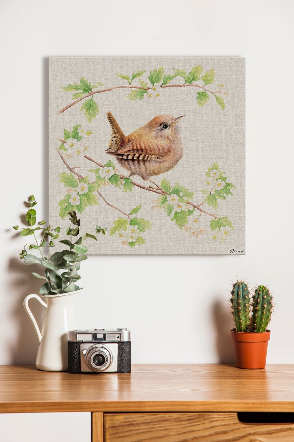 Obraz na płótnie Jenny Wren na ścianie w pokoju nad biurkiem z aparatem fotograficznym i kaktusem