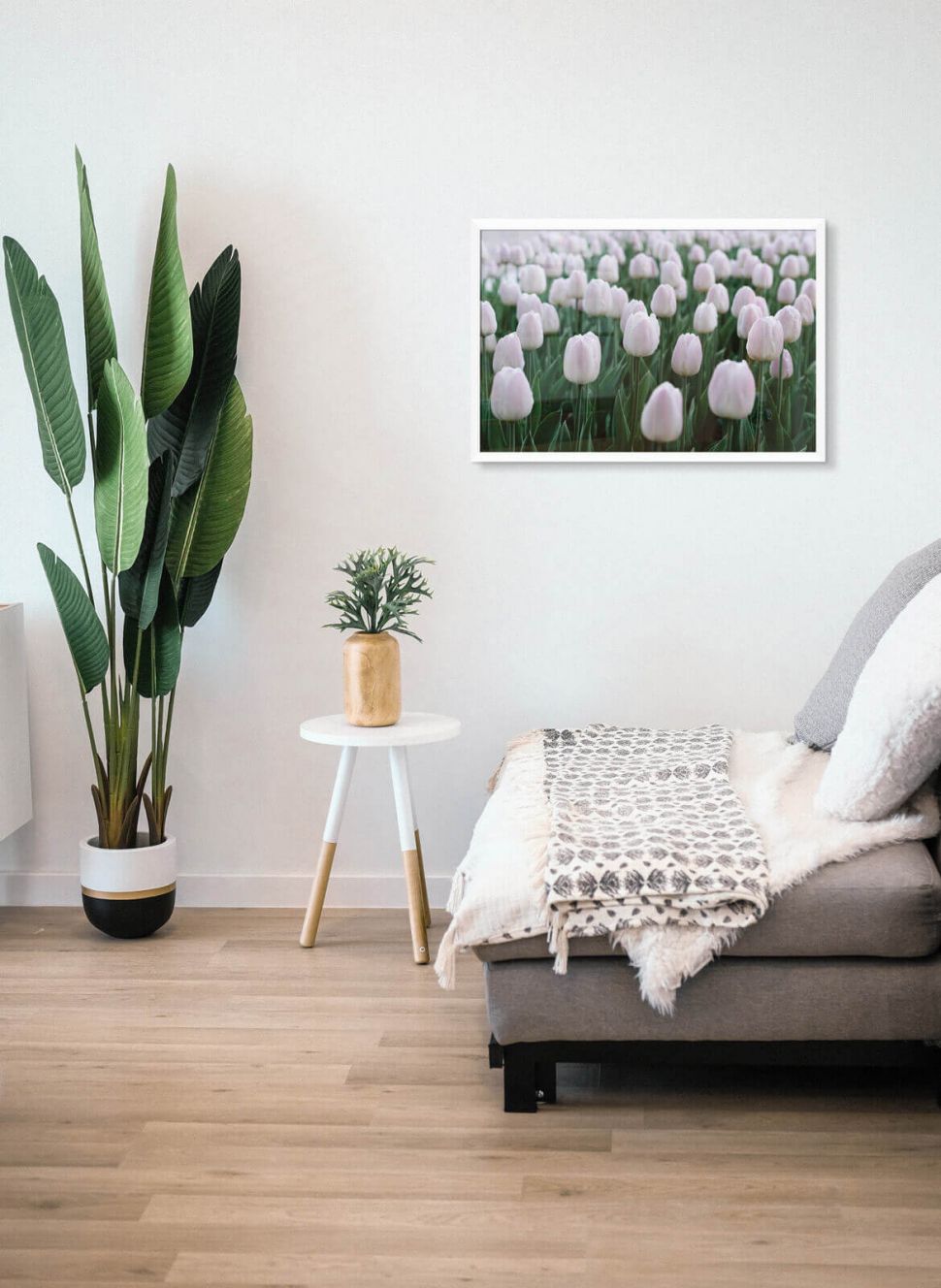 Plakat z białymi tulipanami powieszony w salonie nad kanapą