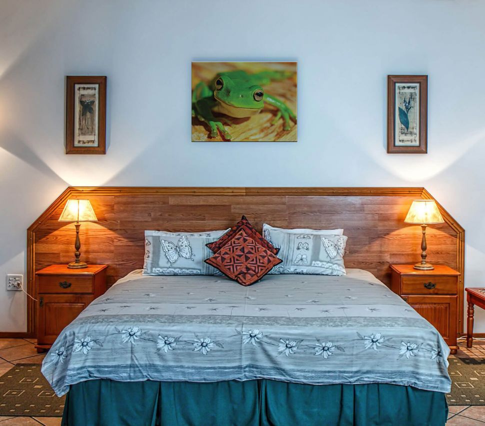 Obraz z Zieloną Żabą powieszony w sypialni nad łóżkiem