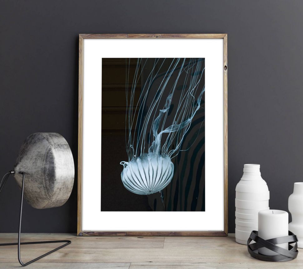 Plakat z meduzą w drewnianej ramie