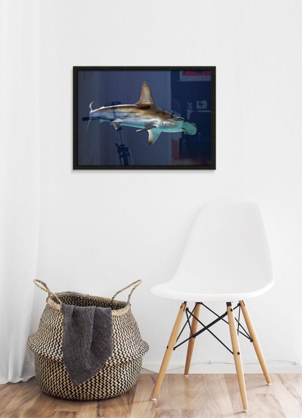 Rekin Głowomot na plakacie powieszony na białej ścianie