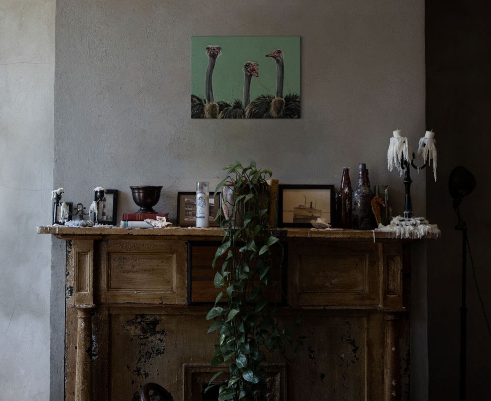 Canvas ze Strusiami powieszony nad kominkiem w salonie