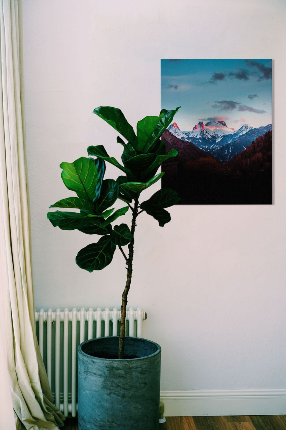 Obraz płócienny Górskie widoki powieszony na białej ścianie obok kwiatka