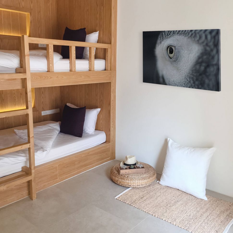 Obraz na płótnie Oko Sowy powieszony w sypialni