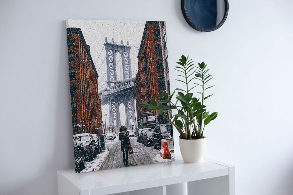 Obraz Zimowy Brooklyn postawiony na białej szafce obok kwiatka