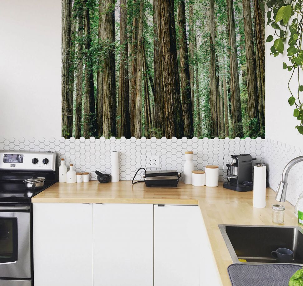 Fototapeta Crescent Woods z drzewami w kuchni nad blatem