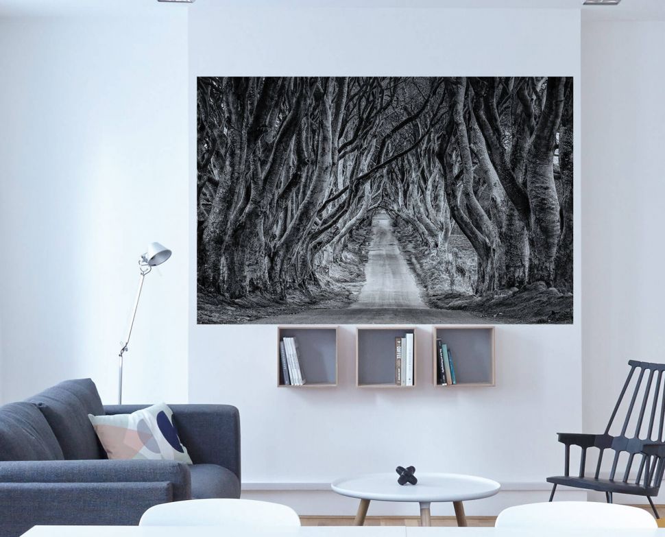 Fototapeta Droga przez las na ścianie w salonie
