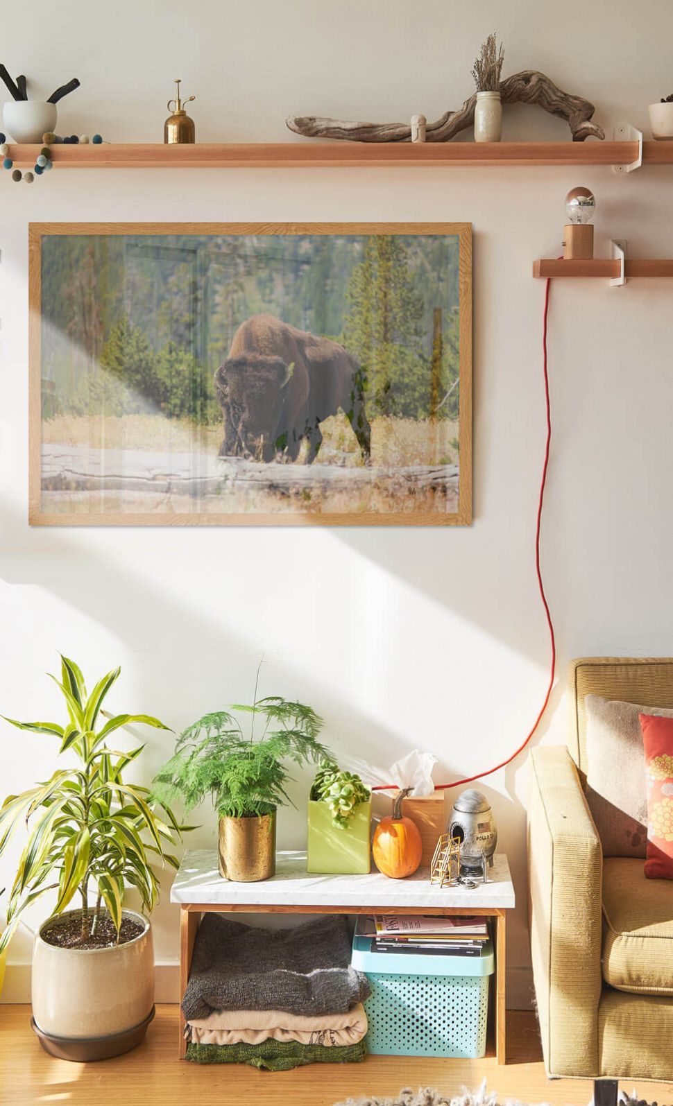 Plakat z Bizonem w salonie w drewnianej ramie