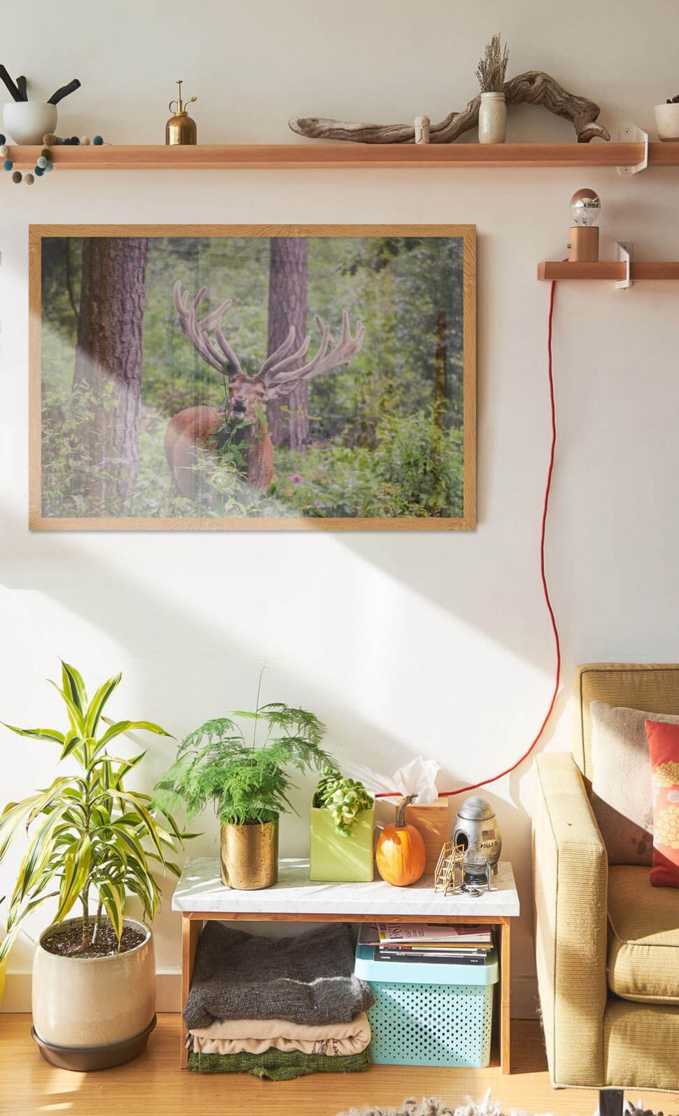 Plakat Jeleń w lesie w salonie w drewnianej ramie