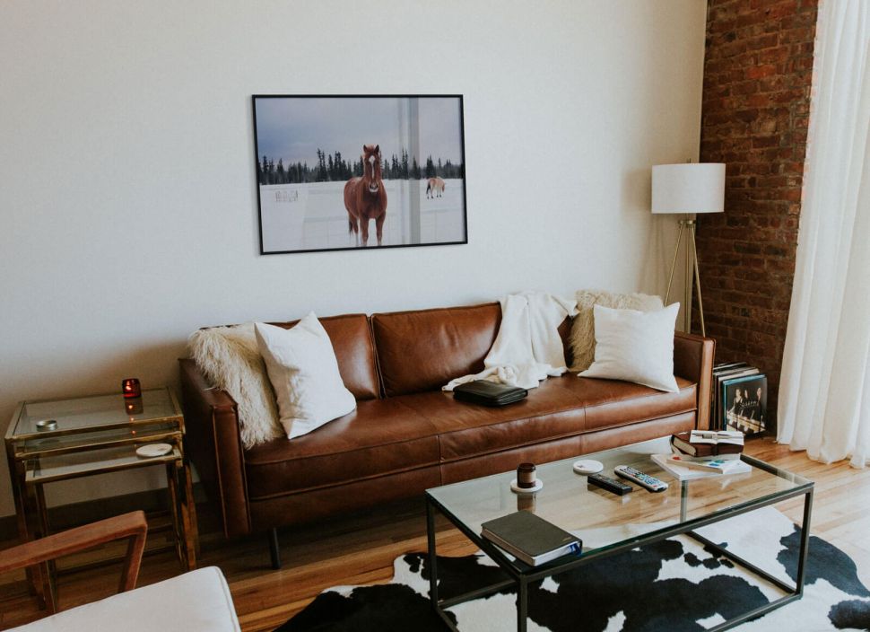 Plakat Koń na Śnieżnej Polanie w salonie nad brązową kanapą